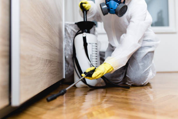 Best Best Pest Control Companies  in Chantilly, VA