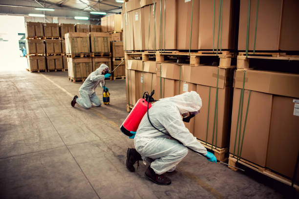 Best Pest Control Near Me  in Chantilly, VA