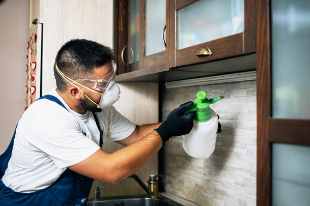 Best Mosquito Control Services  in Chantilly, VA