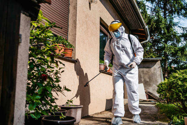 Best Ant Control Services  in Chantilly, VA