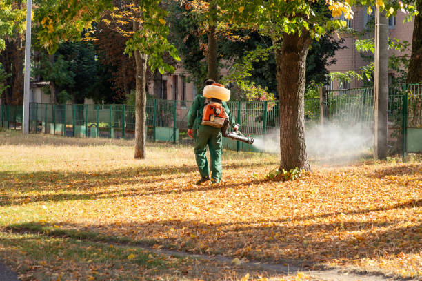 Reliable Chantilly, VA Pest Control Solutions