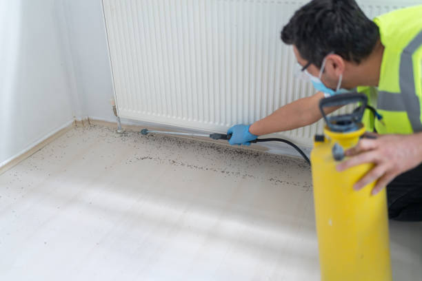 Best Best Pest Control Companies  in Chantilly, VA